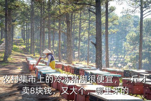 東莞哪里還有農村集市,農村集市上的冷凍豬腳很便宜