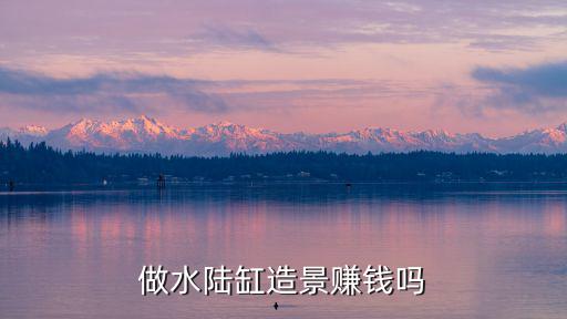 常州水陸缸造景多少錢,做水陸缸造景賺錢嗎
