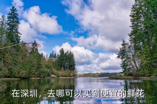 在深圳，去哪可以買到便宜的鮮花