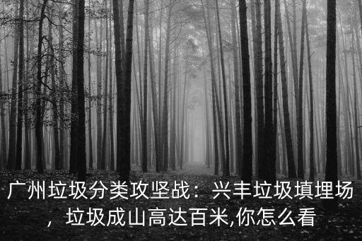 廣州垃圾分類攻堅戰：興豐垃圾填埋場，垃圾成山高達百米,你怎么看