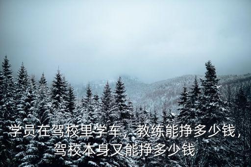 學(xué)員在駕校里學(xué)車，教練能掙多少錢，駕校本身又能掙多少錢
