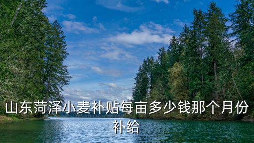 山東小麥直補多少錢一畝,山東菏澤小麥補貼每畝多少錢
