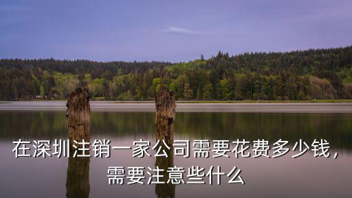 深圳注銷公司為什么要多少錢,登報要多少錢