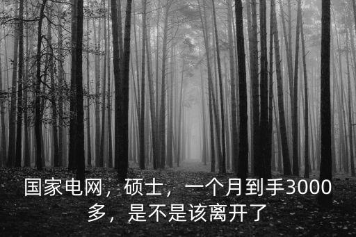 國(guó)家電網(wǎng)，碩士，一個(gè)月到手3000多，是不是該離開了