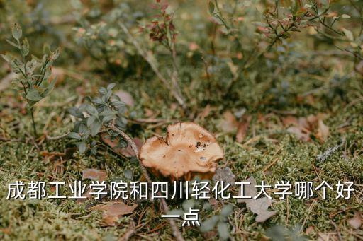 成都工業學院和四川輕化工大學哪個好一點