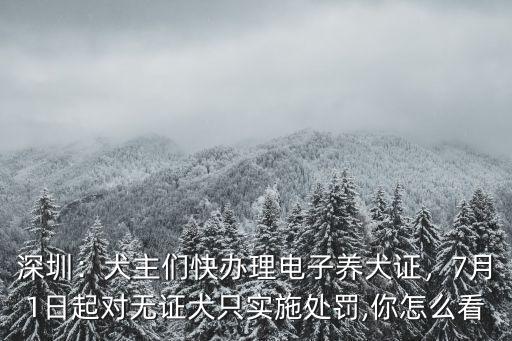 深圳怎么給狗狗辦證,深圳市民掃碼即可辦犬證