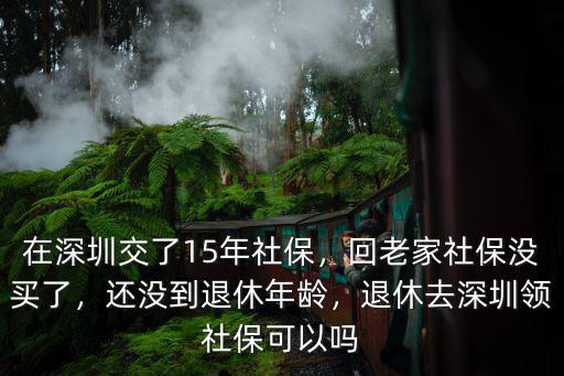未到退休年齡深圳返鄉醫保怎么買,退休去深圳領社保可以嗎
