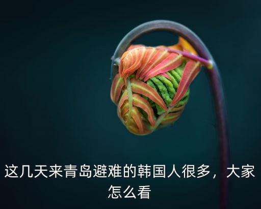 這幾天來青島避難的韓國人很多，大家怎么看