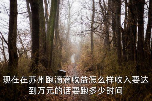 蘇州常熟跑滴滴打車一天賺多少錢,現(xiàn)在在蘇州跑滴滴收益怎么樣