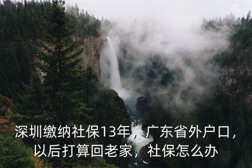 深圳繳納社保13年，廣東省外戶口，以后打算回老家，社保怎么辦