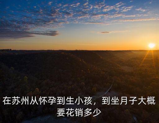 在蘇州生產大概多少錢,在蘇州從懷孕到生小孩