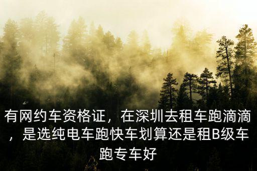 有網約車資格證，在深圳去租車跑滴滴，是選純電車跑快車劃算還是租B級車跑專車好
