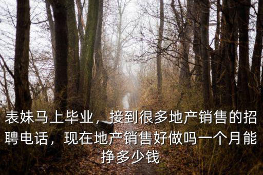 揚州房產(chǎn)銷售一個月能掙多少錢,一個月能掙多少錢