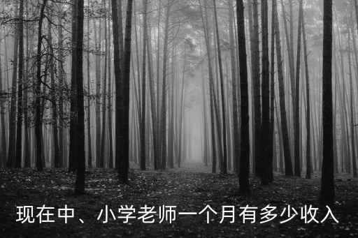 威海小學教師一個月工資多少,初中教師一個月工資有多少錢