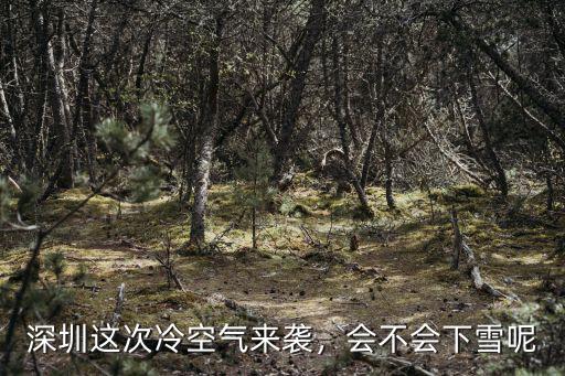 深圳哪里冷空氣最冷,深圳有冬天嗎