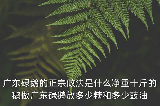 廣東碌鵝的正宗做法是什么凈重十斤的鵝做廣東碌鵝放多少糖和多少豉油