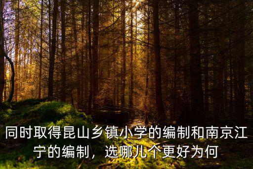南京教師編制共有多少人,有教師資格證