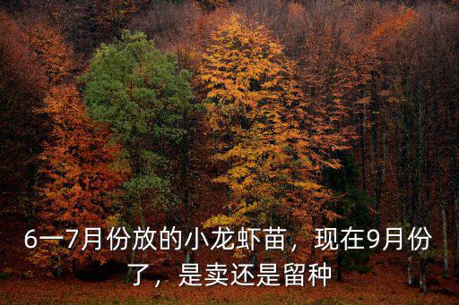 廣東小龍蝦苗哪里有賣6,哪里可以買到小龍蝦苗