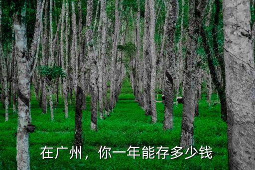 在廣州，你一年能存多少錢