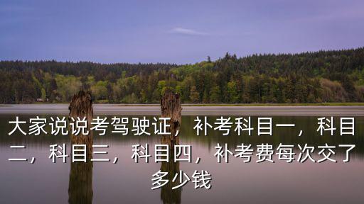 大家說說考駕駛證，補(bǔ)考科目一，科目二，科目三，科目四，補(bǔ)考費(fèi)每次交了多少錢