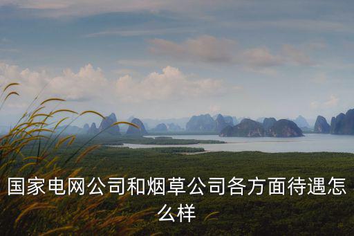 國家電網公司和煙草公司各方面待遇怎么樣