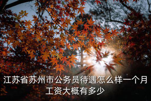 江蘇省蘇州市公務(wù)員待遇怎么樣一個月工資大概有多少
