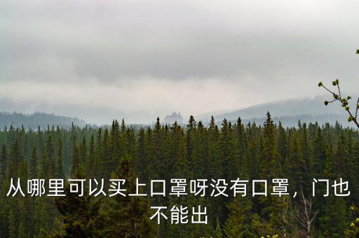從哪里可以買上口罩呀沒有口罩，門也不能出