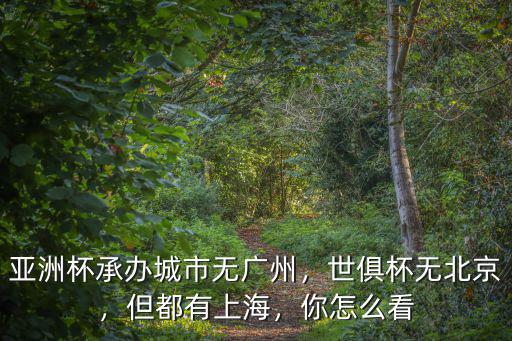 深圳怎么沒辦亞洲杯世俱杯,亞洲杯和世俱杯
