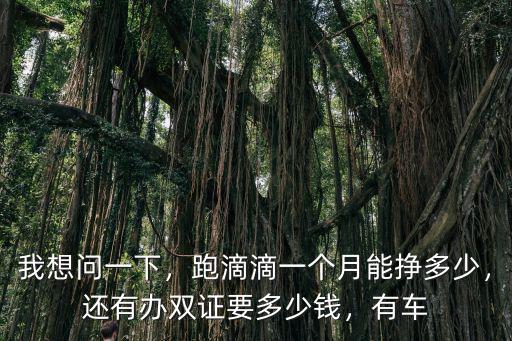 常州滴滴辦運營證要多少錢一個月,跑滴滴一個月能掙多少