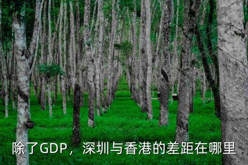 除了GDP，深圳與香港的差距在哪里