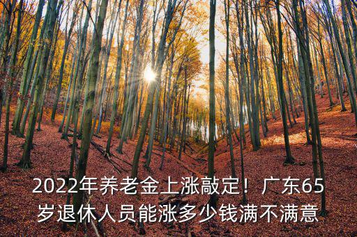 廣東社保養(yǎng)老金漲多少年,2022年養(yǎng)老金上漲敲定