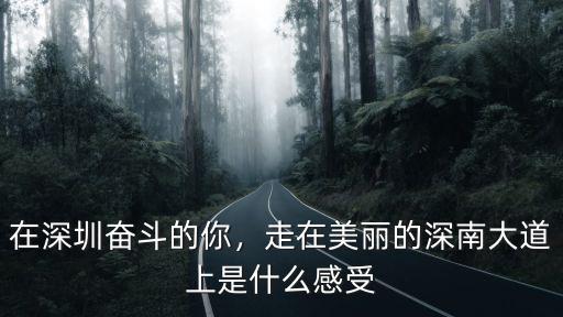 在深圳奮斗的你，走在美麗的深南大道上是什么感受