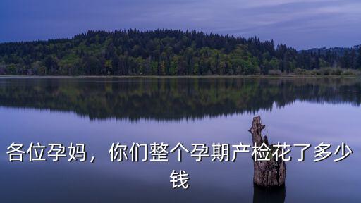 南京孕期產(chǎn)檢費用是多少,整個孕期產(chǎn)檢需要多少錢