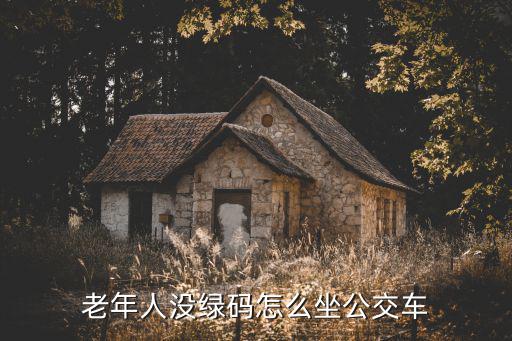 老年人沒綠碼怎么坐公交車