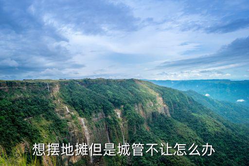 中山城管不讓擺攤怎么處理,想擺地攤但是城管不讓怎么辦