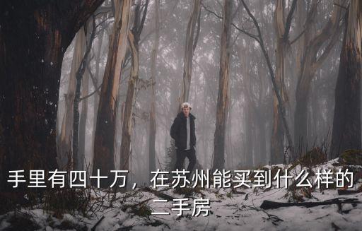 蘇州有多少二手房在賣,手里有四十萬