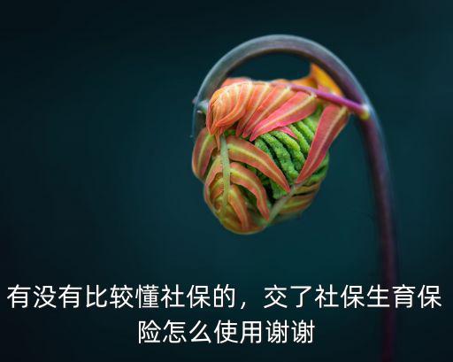 東莞市社保卡生育保險怎么用,有沒有比較懂社保的