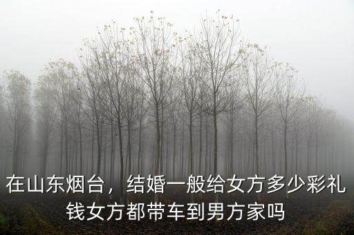 在山東煙臺，結(jié)婚一般給女方多少彩禮錢女方都帶車到男方家嗎