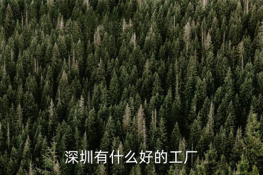 深圳有什么好的工廠