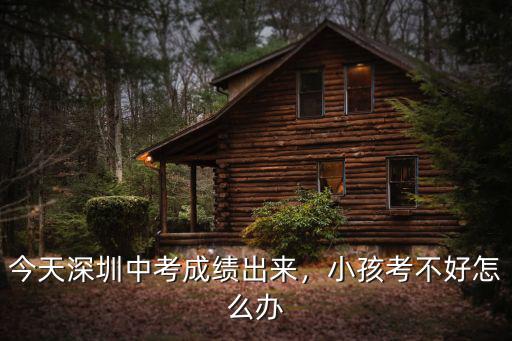 深圳中考考得不好怎么辦,深圳中考落榜怎么辦