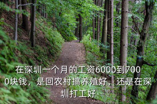到深圳哪里打工最賺錢,深圳哪里的工廠比較多