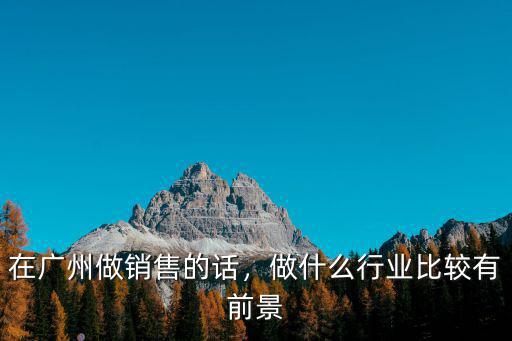 在廣州做銷售的話，做什么行業比較有前景