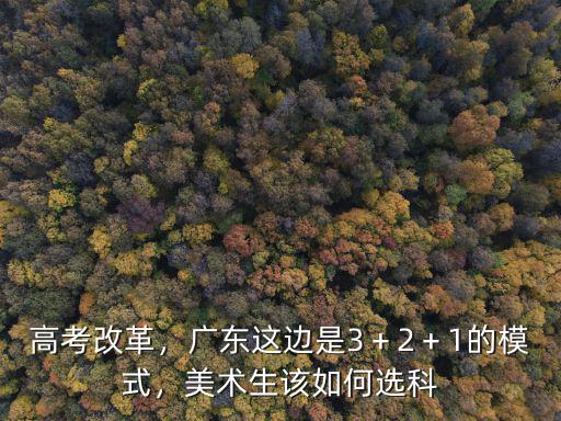 高考改革，廣東這邊是3＋2＋1的模式，美術生該如何選科