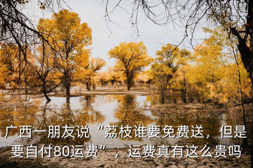從廣西運一車荔枝到廣州運費要多少,廣西一朋友說荔枝誰要免費送