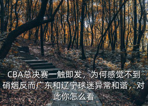北京打廣東季后賽你怎么看,但季后賽北京會脫胎換骨