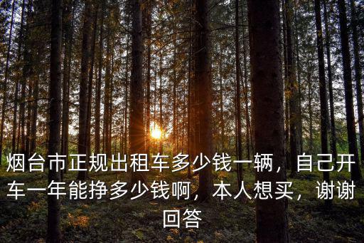 煙臺市正規(guī)出租車多少錢一輛，自己開車一年能掙多少錢啊，本人想買，謝謝回答