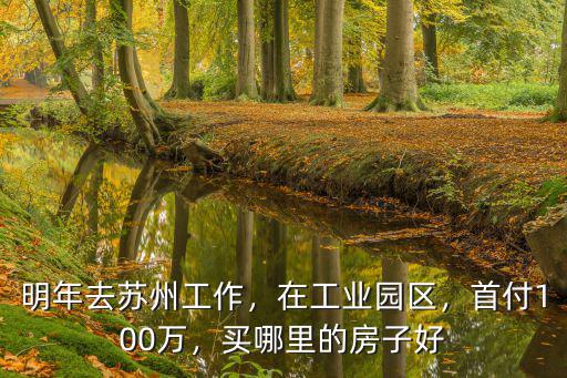 首套100萬房子首付蘇州多少錢,100萬左右首付
