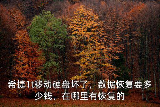 河源市哪里可以修數(shù)據(jù)恢復(fù),數(shù)據(jù)恢復(fù)要多少錢
