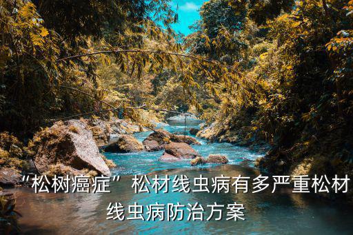 廣東有多少地方有松線蟲病,松材線蟲病防治方案