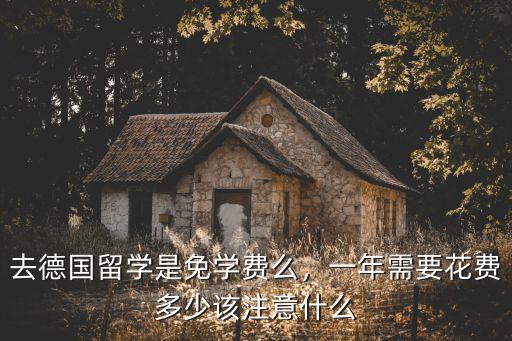 威海留學培訓一般多少錢免學費,去德國留學是免學費么